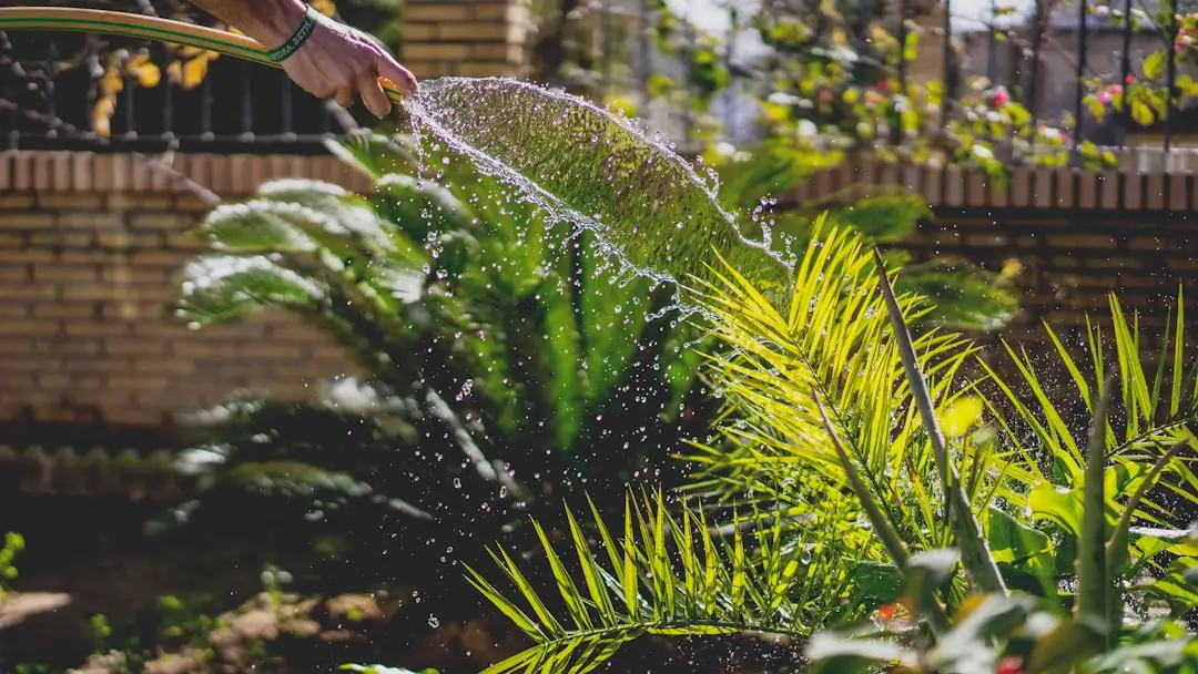四川会生健康咨询：企业健康管理方案定制全流程解析